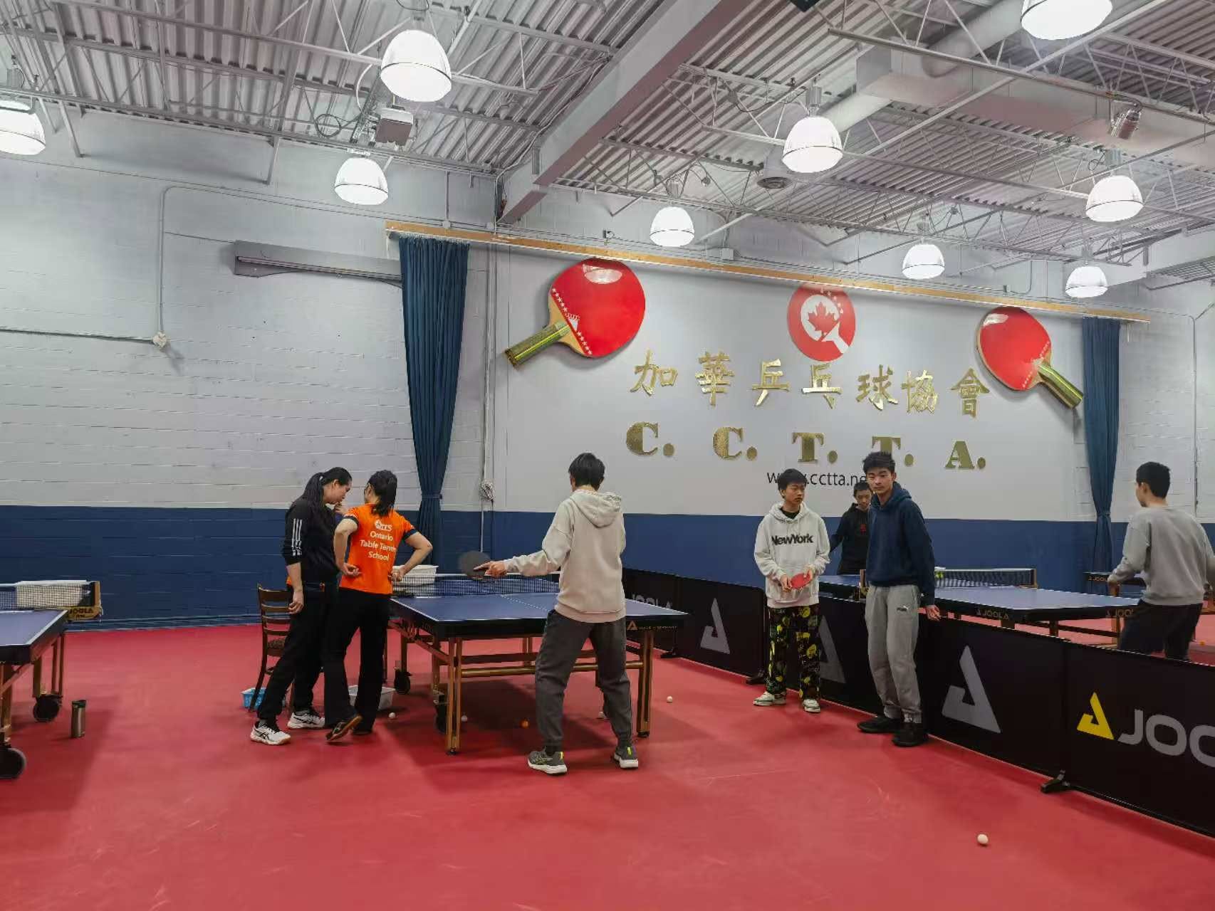 Youth Table Tennis Practicing photo 2