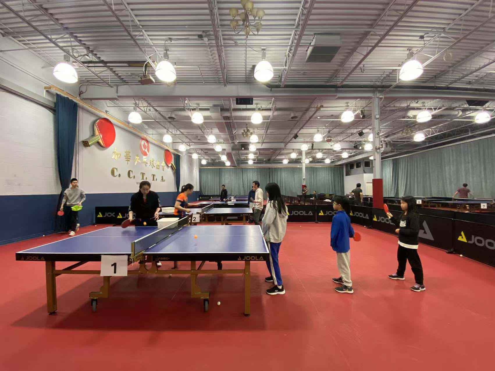 Youth Table Tennis Practicing photo 4